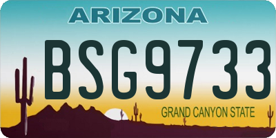 AZ license plate BSG9733