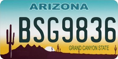 AZ license plate BSG9836