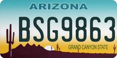 AZ license plate BSG9863