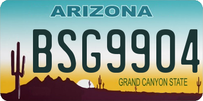 AZ license plate BSG9904