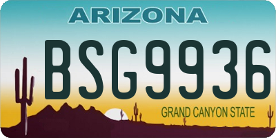 AZ license plate BSG9936