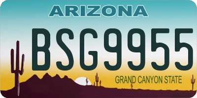 AZ license plate BSG9955