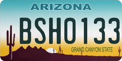 AZ license plate BSH0133