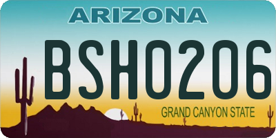 AZ license plate BSH0206