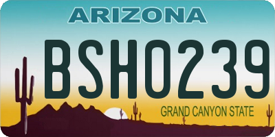 AZ license plate BSH0239