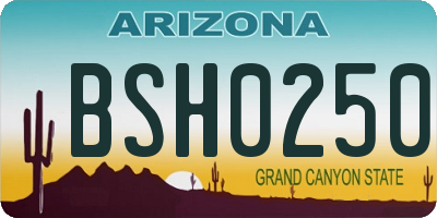 AZ license plate BSH0250