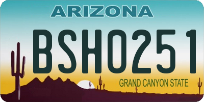 AZ license plate BSH0251