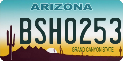 AZ license plate BSH0253
