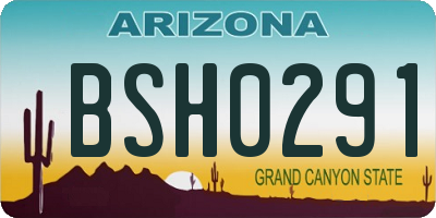 AZ license plate BSH0291