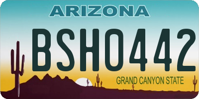 AZ license plate BSH0442