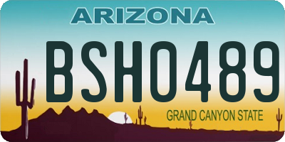 AZ license plate BSH0489