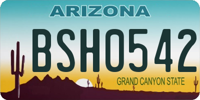 AZ license plate BSH0542