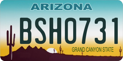 AZ license plate BSH0731