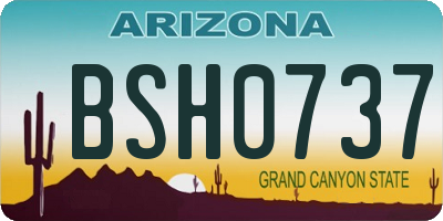 AZ license plate BSH0737