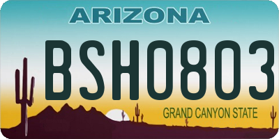 AZ license plate BSH0803