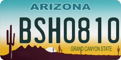 AZ license plate BSH0810