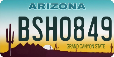 AZ license plate BSH0849