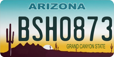 AZ license plate BSH0873