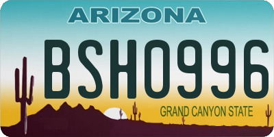 AZ license plate BSH0996