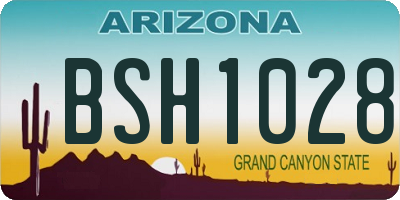 AZ license plate BSH1028