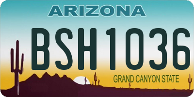 AZ license plate BSH1036