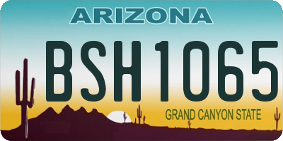 AZ license plate BSH1065