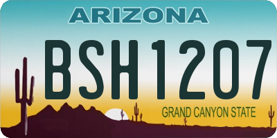 AZ license plate BSH1207