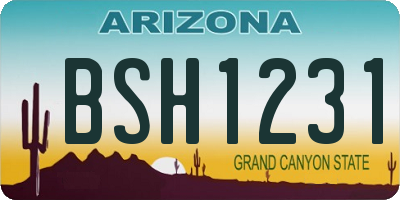 AZ license plate BSH1231