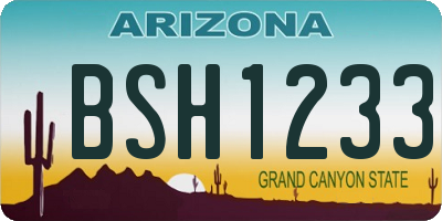 AZ license plate BSH1233