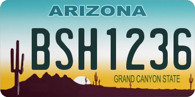 AZ license plate BSH1236