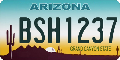 AZ license plate BSH1237