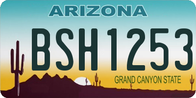 AZ license plate BSH1253