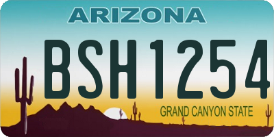 AZ license plate BSH1254