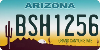 AZ license plate BSH1256