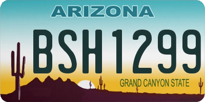 AZ license plate BSH1299