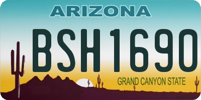 AZ license plate BSH1690