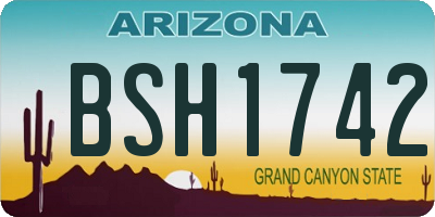 AZ license plate BSH1742