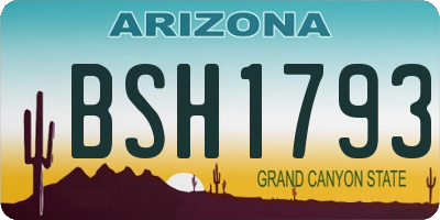 AZ license plate BSH1793