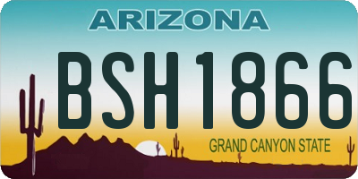AZ license plate BSH1866
