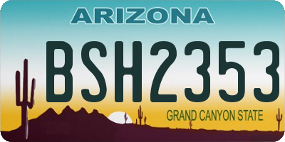 AZ license plate BSH2353