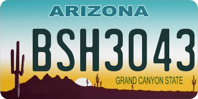 AZ license plate BSH3043