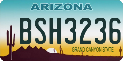 AZ license plate BSH3236