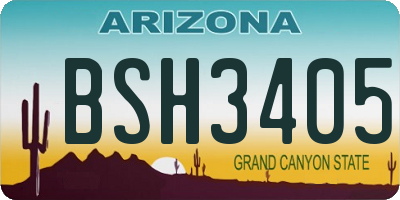 AZ license plate BSH3405