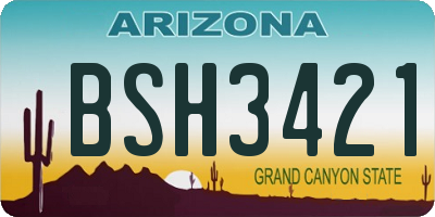 AZ license plate BSH3421