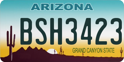 AZ license plate BSH3423