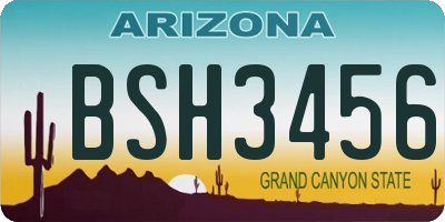 AZ license plate BSH3456