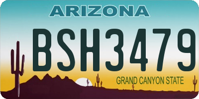 AZ license plate BSH3479