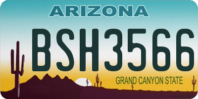 AZ license plate BSH3566