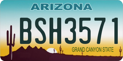 AZ license plate BSH3571