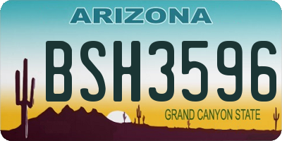 AZ license plate BSH3596